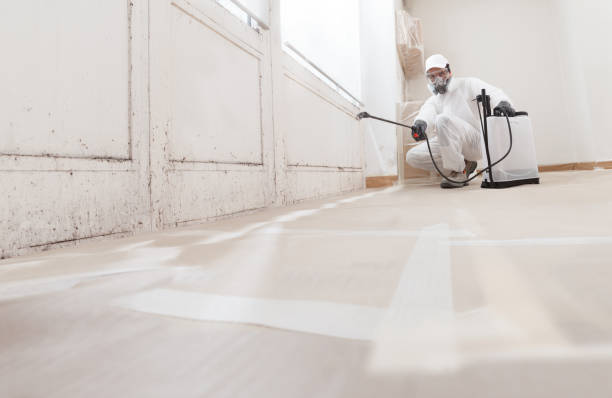 24/7 Emergency Black Mold Remediation experts in Clermont, FL