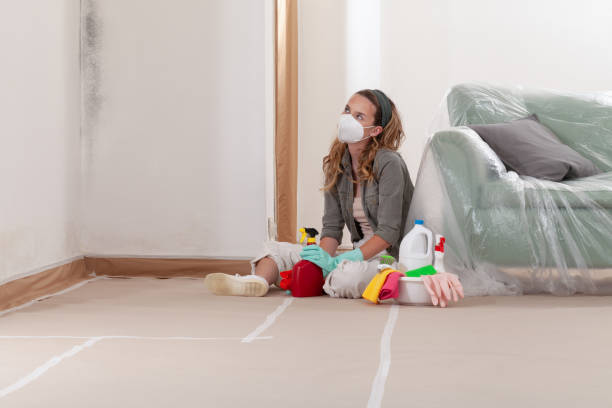 Reliable Black Mold Remediation contractor in Clermont, FL by Mold Remediation HQ